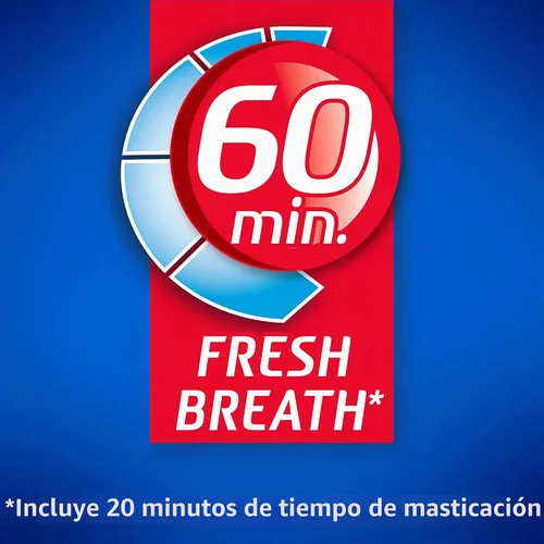 Vista 6 de Dentyne Ice Peppermint - Goma de mascar sin azúcar, 6 botellas de 60 piezas (360 piezas en total)