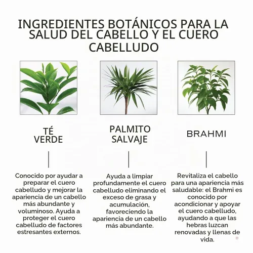 Vista 3 de Zenagen Revolve - Tratamiento de pérdida de cabello para hombres