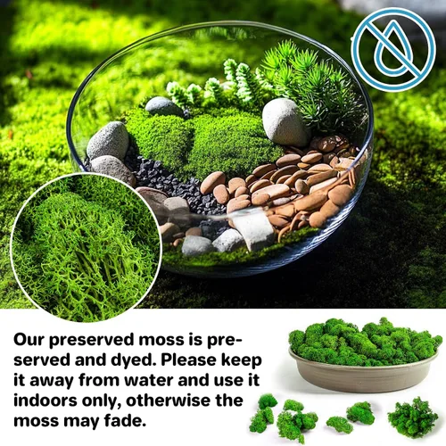 Vista 3 de Sukh Musgo preservado – Musgo de 3.5 onzas para manualidades, musgo sintético de musgo verde natural, arte para pared, terrarios de musgo floral