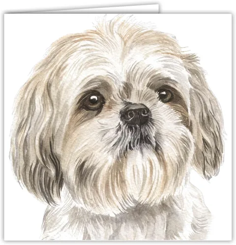 Vista 3 de Maturi Shih Tzu Dog - Tarjeta fotográfica de felicitación de cumpleaños en blanco, 6 x 6 pulgadas, cuadrada
