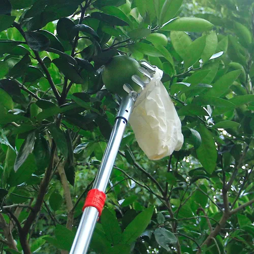 Vista 3 de 1 cesta de recogedor de frutas, herramientas de recolección de frutas, portátil, recogedor de frutas, bolsa para cosecha, manzana, cítricos, pera