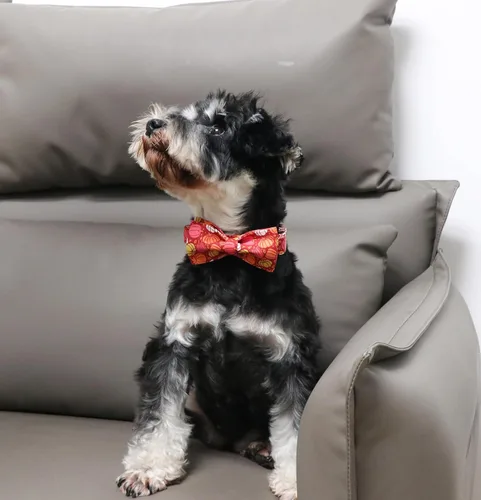Vista 17 de Unique Style Paws Collar de perro de Halloween con lazo de algodón lindo pajarita para perros pequeños, medianos y grandes, vacaciones