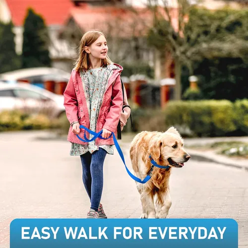 Vista 8 de Correa impermeable para perro, resistente de 6 pies, fabricada en Estados Unidos, color azul