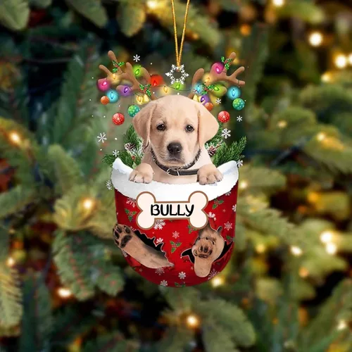 Vista 125 de IZI POD Affenpinscher Adorno de Navidad personalizado para perro, adorno de bolsillo de nieve para perro para árbol de Navidad, adorno acrílico
