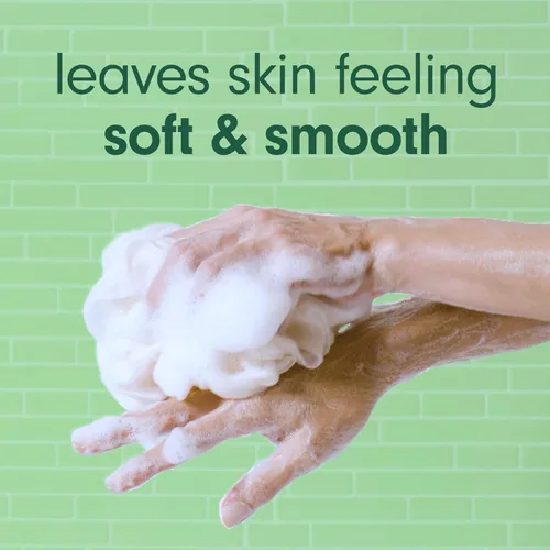 Vista 4 de Softsoap Jabón corporal de eucalipto y menta, gel de baño hidratante, 20 onzas, (paquete de 4)