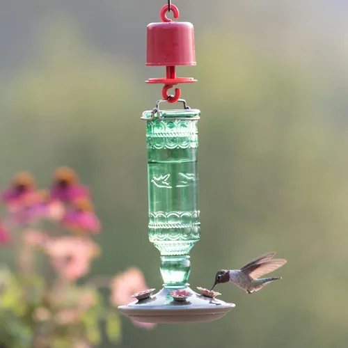 Vista 9 de Perky-Pet 8108-1SR - Comedero de vidrio para colibríes para exteriores, estilo botella antigua, comederos para colibríes de 10 onzas para decoración