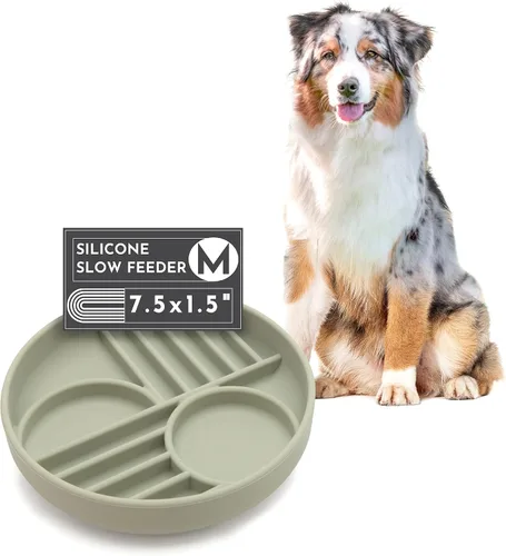 Vista 20 de Should We Go? Alimentador lento para perros y gatos, el tazón Slowdown de silicona, solución para comer lentamente con diseño moderno de alfombrilla