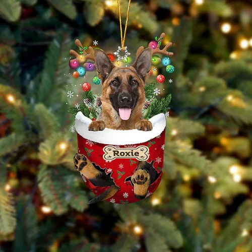 Vista 193 de LOVELYPOD Adorno Personalizado de Perro Affenpinscher, Adornos de Navidad Affenpinscher Regalo para Amante de Perros, Adorno de Navidad Colgante