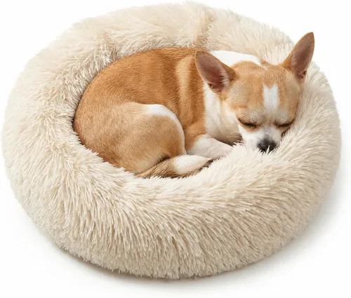 Vista 23 de Cama pequeña para perros extra pequeños para caniche de juguete Chihuahua Pomerania