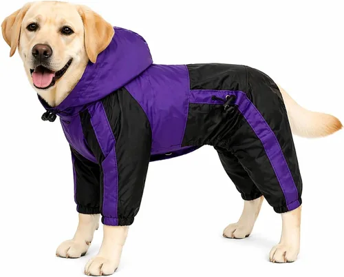 Vista 14 de Ropa para mascotas, abrigo impermeable de nailon para mascotas, chaqueta de lluvia adorable con capucha perfecta para razas de perros pequeños, Verde