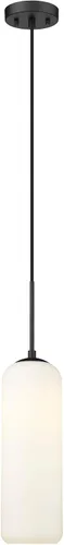 Vista 9 de Z-Lite 1 Colgante de luz 732P22-BN