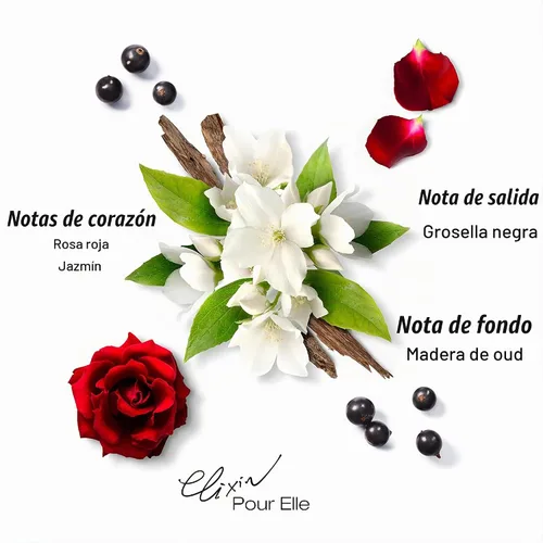 Vista 4 de Mauboussin - Elixir Pour Elle 3.4 fl oz (3.3 Fl Oz) - Eau de Parfum para Mujer - Aromas florales y orientales