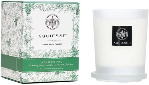 Vista 26 de Aquiesse Vela grande perfumada Black Orchid de 10 onzas