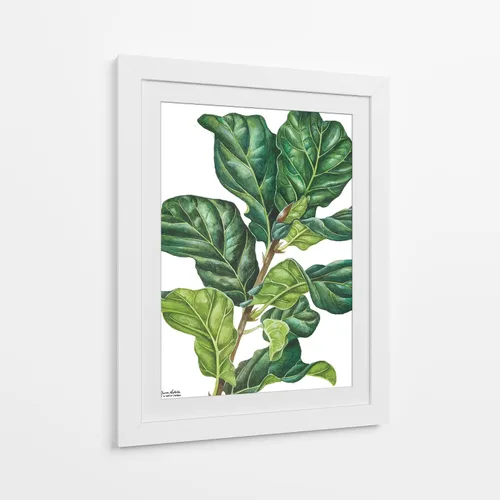Vista 9 de Canvas Lab Lienzo decorativo para pared, Fiddle Ficus Lyrata del artista Blanca Aurora – Tamaño: 12 x 16 pulgadas – Tema: botánico, naturaleza