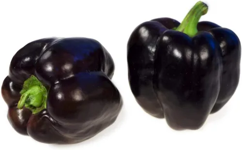 Vista 2 de Semillas Pimiento Negro Más de 25 Semillas