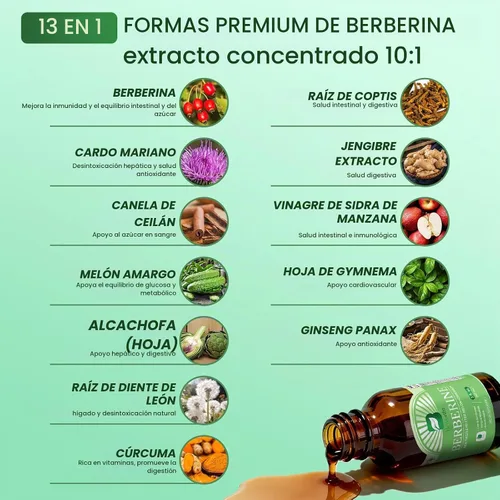 Vista 5 de B BEWORTHS Suplemento HCL de berberina con canela de Ceilán, gotas líquidas de fitosoma de berberina con cúrcuma, canela de Ceilán, melón amargo