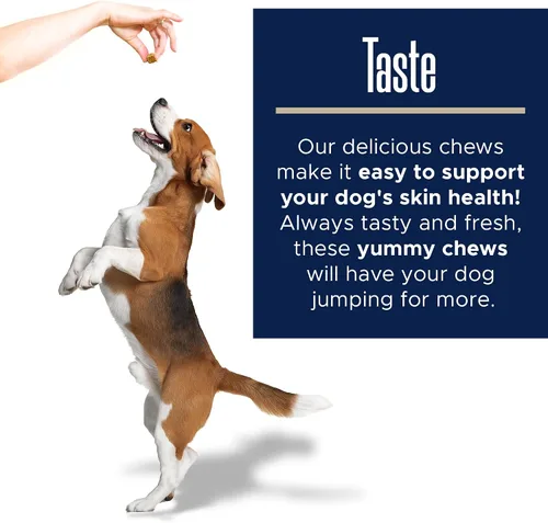 Vista 6 de Suplementos de aceite de pescado para perros – 180 deliciosas golosinas masticables – Aceite de salmón rico en Omega 3, EPA, DHA, biotina y vitamina