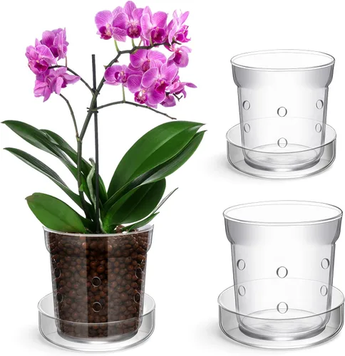 Vista 8 de Baderke Maceta de orquídeas con orificios de drenaje y bandeja de vidrio transparente para orquídeas, trasplante de flores, jarrón de vidrio