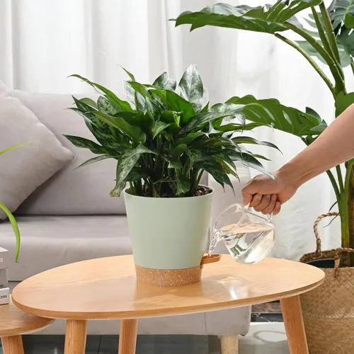 Vista 2 de Macetas para Plantas 6 PCS 5 pulgadas Macetas de Riego Automático Alto Drenaje Maceta de Flores para Plantas de Interior y Exterior con Bandeja