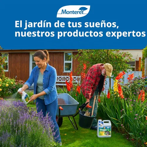Vista 7 de Monterey Thistledown Concentrado herbicida 8 onzas