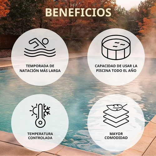 Vista 3 de Raypak Calentador de piscina de propano de encendido electrónico digital de 406,000 BTU