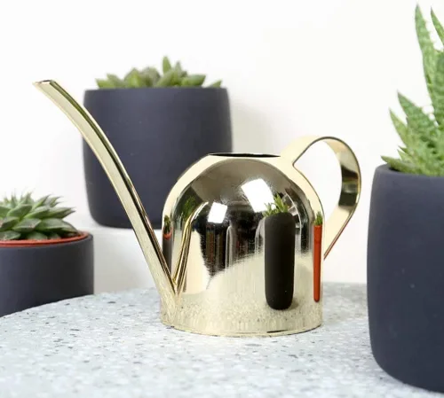 Vista 9 de Regadera para plantas de interior, regadera pequeña de 17 onzas de acero inoxidable con boquilla larga para plantas de interior y exterior (dorado)