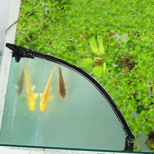 Vista 3 de HOZOE Jaula Flotante para Plantas de Acuario, Plantas Flotantes que Impiden el Paso de Filtros y Calentadores, Altura Ajustable con Nivel de Agua