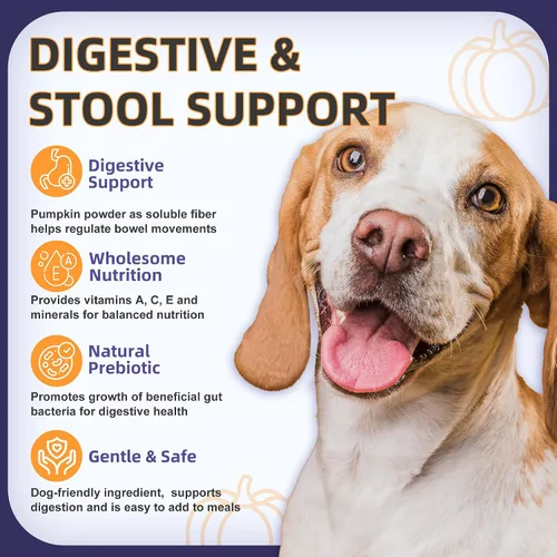 Vista 4 de NATURE TARGET Probióticos para perros, 6 mil millones de probióticos para perros con prebióticos y enzimas para la salud digestiva e intestinal