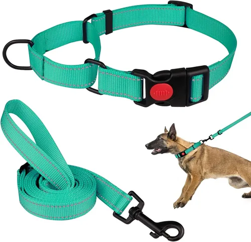Vista 9 de Set de Collar y Correa Martingale para Perros Collares de Martingale para Perros Collar de Martingale Reflectante para Perros Pequeños, Medianos