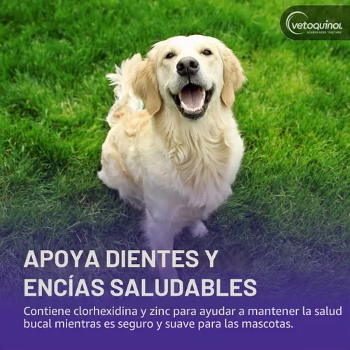 Vista 5 de Vetoquinol Dentahex - Enjuague de higiene bucal para mascotas, 8 onzas