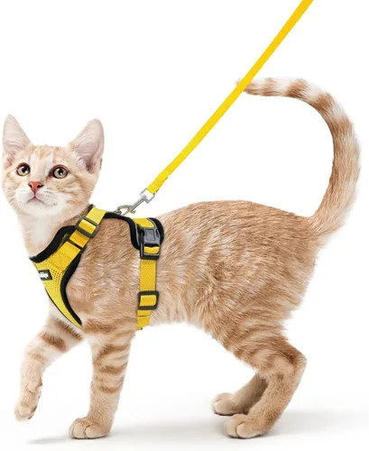Vista 35 de rabbitgoo Cat Harness and Leash Set, Escape Proof Vest, XXS, Berry Pounce Soft Breathable Mesh, No-choke Adjustable Fit, Snap Buckles, Sturdy