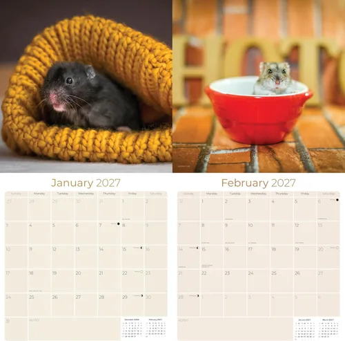 Vista 427 de Calendario de grises africanos 2025 2026 – Planificador mensual de pared de aves africanas – 12 x 18 pulgadas (abierto), calendario de pared