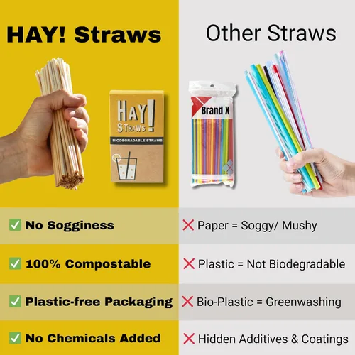 Vista 6 de Pajitas de heno compostables de 6 pulgadas, respetuosas con el medio ambiente, 1500 popotes biodegradables, desechables para bebidas bajas