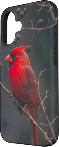 Vista 2 de Funda para iPhone 16 Cardinal Bird