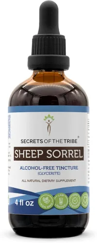 Vista 6 de Extracto sin alcohol de tintura de acedera de oveja, hecho con acedera de oveja (Rumex Acetosella) Hierba seca 2 onzas