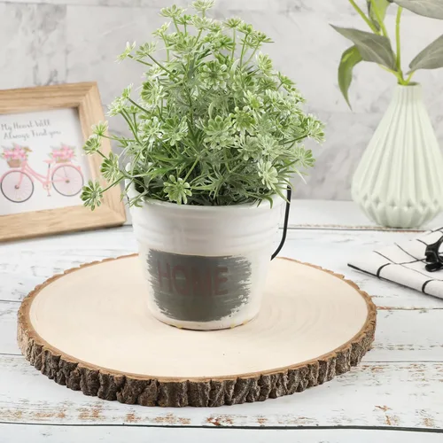 Vista 3 de 2 piezas de rodajas de madera grandes para centros de mesa de 11-12 pulgadas, rodajas redondas de madera para decoración de mesas, círculos