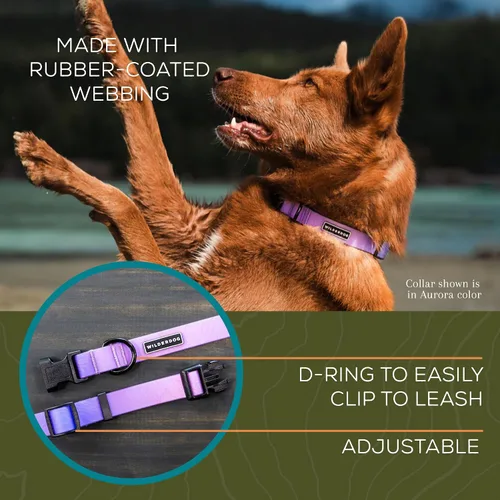 Vista 4 de Collar de perro impermeable Wilderdog – Repele el agua y la suciedad - Pequeño 11"-15" - Aurora