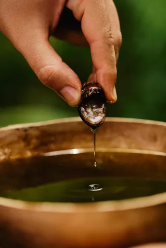 Vista 8 de natura Ekos Patauá Tónico Nocturno Antirotura - Acelera el Crecimiento y Fortalece el Cabello - Aumenta la Densidad y Previene la Caída de Cabello