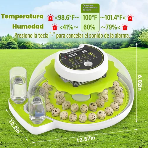 Vista 4 de Incubadora de huevos de codorniz 40 con huevos de control de humedad