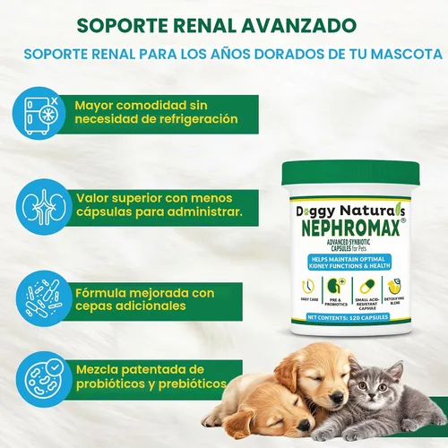 Vista 8 de NEPHROMAX™ Cápsulas Synbiotic para soporte renal para perros y gatos – 36 mil millones de CFU avanzada de próxima generación de mezcla