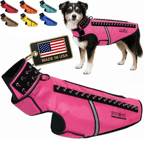 Vista 21 de CoyoteVest SpikeVest - Chaleco de arnés para perro, accesorios reflectantes para perros con picos para proteger a tu mascota de ataques de Raptor