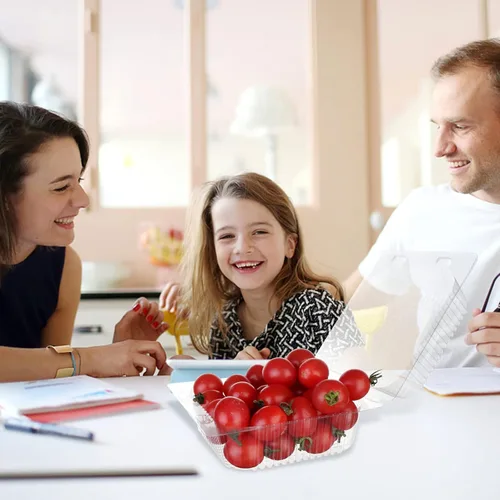 Vista 8 de 250 unidades de 5 x 5 pulgadas Clamshell bandeja para llevar recipientes de plástico con bisagras para alimentos, caja de comida desechable