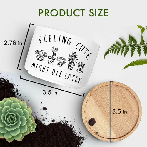 Vista 5 de Maceta Divertida para Plantas Suculentas, Maceta Pequeña para Plantas de Interior, Lindas Macetas de Cerámica para Cactus con Drenaje, Decoración