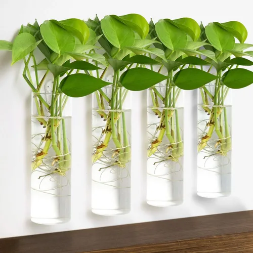 Vista 6 de Vumdua Paquete de 4 macetas de vidrio, transparentes, 5.9 pulgadas de alto x 1.85 pulgadas de profundidad, adecuadas para la mayoría de plantas