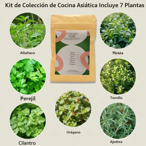 Vista 2 de Kit de semillas de hierbas hidropónicas inbloom para AeroGarden, iDoo, Ahopegarden, GARDENCUBE, 7 vainas