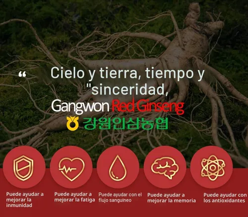 Vista 8 de [Gangwoninsam] Té de ginseng rojo coreano (0.11 oz x 100 paquetes) – Ginseng rojo coreano de 6 años, comida saludable coreana, empaquetado