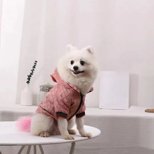 Vista 3 de Sudadera con capucha para perro de invierno, ropa de lujo para perro, ropa clásica para mascotas, abrigo de bulldog francés, ropa de cachorro