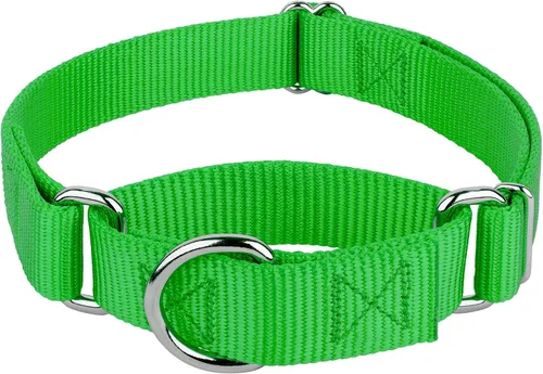 Vista 21 de Country Brook Petz - Collar Martingale para perro - Collar de entrenamiento resistente sin hebilla - Collar para perro de servicio para todas