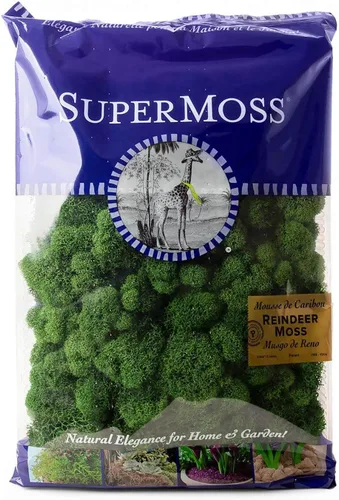 Vista 37 de Super Moss (23164) Musgo de reno preservado, fucsia, 2 onzas Musgo preservado suave, decoración del hogar, manualidades y terrarios, diseño