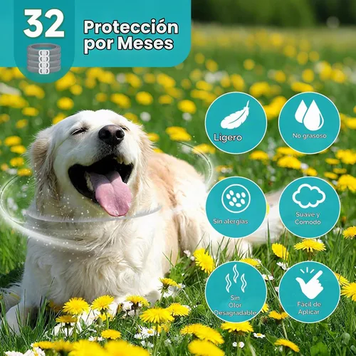 Vista 3 de Prevención de pulgas y garrapatas para perros, paquete de 4 collares